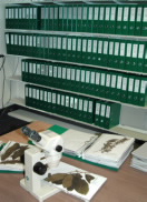 Public ref room 1.jpg